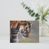 Hoger klimmen naar beneden briefkaart (Staand voorkant)