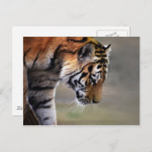 Hoger klimmen naar beneden briefkaart (Voorkant / Achterkant)