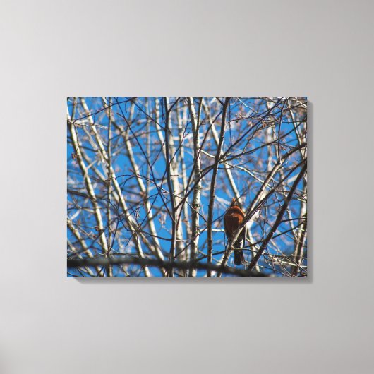 Hoger omhoog canvas afdruk (Voorkant)