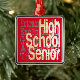 Hogeschool voor hoger onderwijs metalen ornament