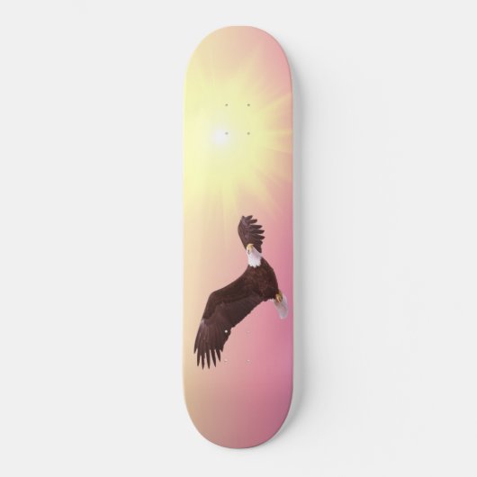 Hogevlieger Skateboard (Voorkant)