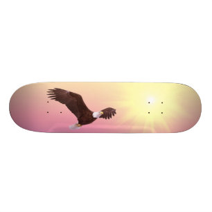Hogevlieger Skateboard