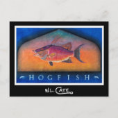 Hogfish Briefkaarten (Voorkant)