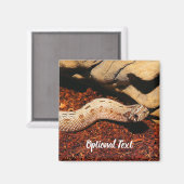 Hognose Pet Snake Magneet (Voorkant / Achterkant)