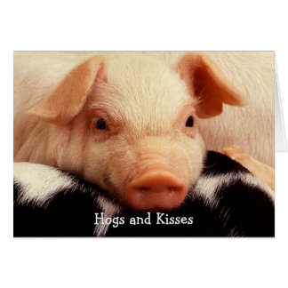 Hogs en Kisses