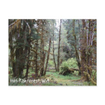 Hoh Rainforest, staat Washington, Briefkaart