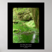 Hoh Valley Rain Forest Poster (stream) (Voorkant)