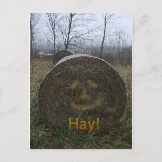 Hoi! Briefkaart (Voorkant)