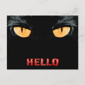 hoi briefkaart