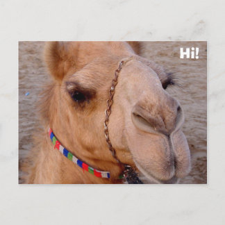 Hoi! Briefkaart