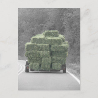 Hoi daar! briefkaart