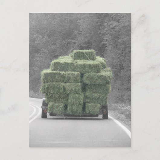 Hoi daar! briefkaart (Voorkant)