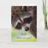 Hoi Hallo Hoe gaat het? Cute Raccoon Animal Fun Bedankkaart (Voorkant)
