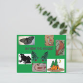 Hoi uit het kamp bossen briefkaart (Staand voorkant)