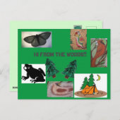 Hoi uit het kamp bossen briefkaart (Voorkant / Achterkant)