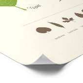 Hojas de Árbol Poster (Hoek)