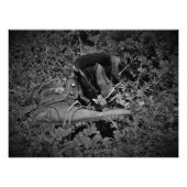 "Hola, Boots!" Foto Afdruk (Voorkant)