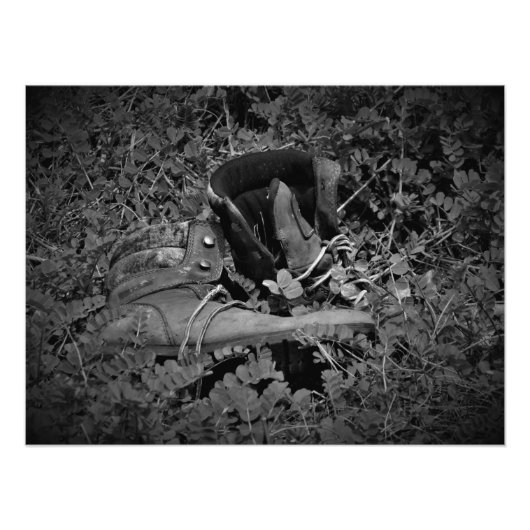 "Hola, Boots!" Foto Afdruk (Voorkant)