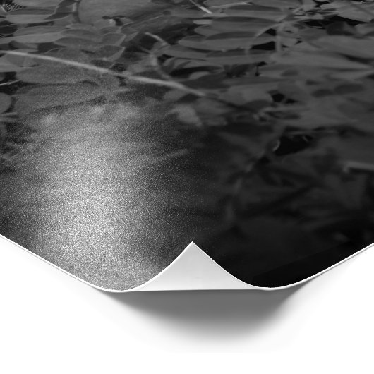 "Hola, Boots!" Foto Afdruk (Hoek)