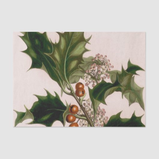 holbessen tissuepapier (Voorkant)