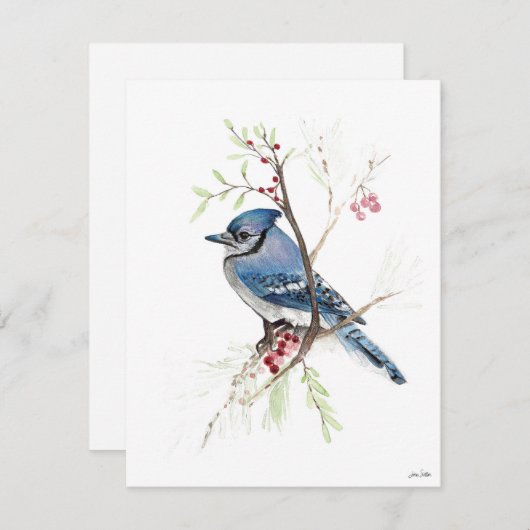 Holiday Blue Jay Art Feestdagenkaart (Voorkant / Achterkant)
