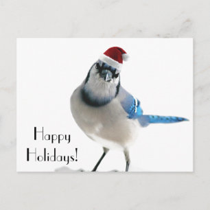 Holiday Blue Jay Feestdagenkaart