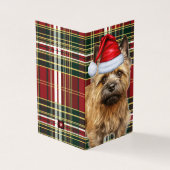 Holiday Cairn Terrier Chien rouge Plaid Noël (Outside)