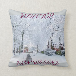 HOLIDAY CHRISTMAS WINTER WONDERLAND SIERKUSSEN