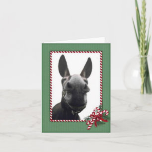 Holiday Cody Feestdagen Kaart