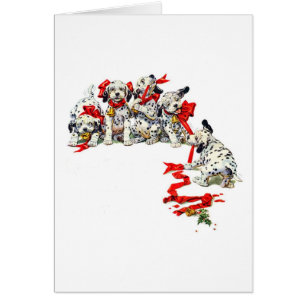 Holiday Dalmatian Pups