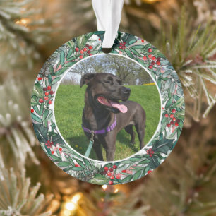 Holiday Dog of Cat One Photo Pet Ornament