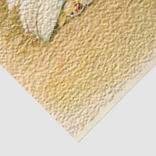  Holiday en kippen Pasen Tissuepapier (Detail)