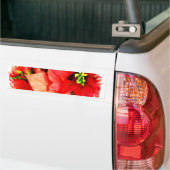 Holiday Gathering Bumpersticker (Op Truck)