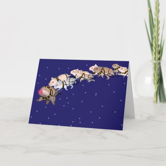 Holiday Hamsters Feestdagen Kaart (Voorkant)