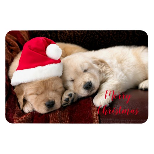 Holiday Magnet Magneet (Horizontaal)