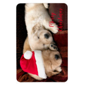 Holiday Magnet Magneet (Verticaal)