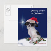 Holiday Papillon Postcard Feestdagenkaart (Voorkant / Achterkant)