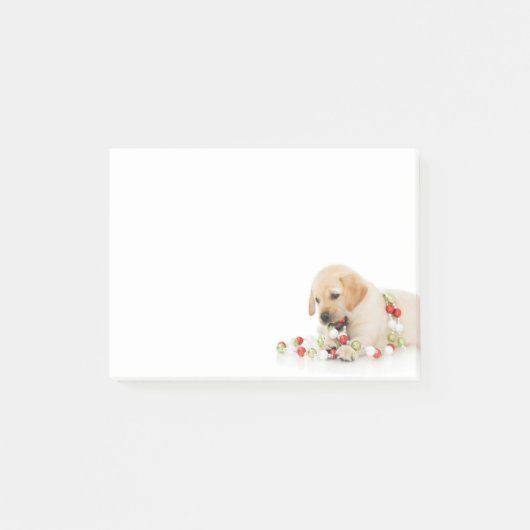 Holiday Puppy Playtime II Post-it® Notes (Voorkant)