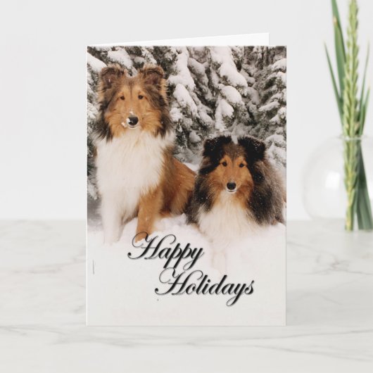 Holiday Shelties Feestdagen Kaart (Voorkant)