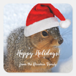 Holiday Squirrel Vierkante Sticker