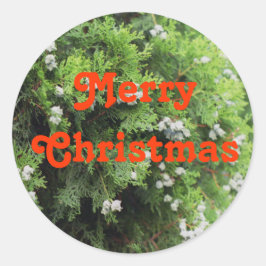 Holiday tree ronde sticker