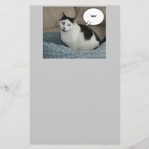 Holla Cat Humor Briefpapier