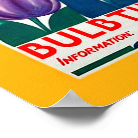 Holland Bulb Time Poster (Hoek)