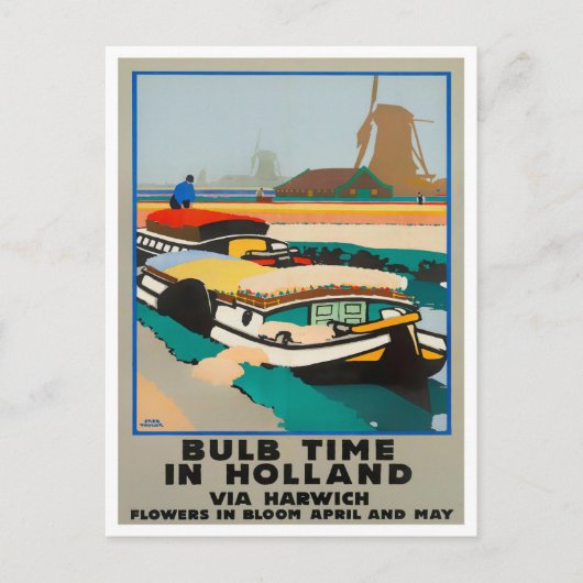 Holland bulb time vintage Briefkaart (Voorkant)