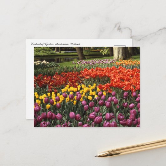 Holland Keukenhof Briefkaart (Voorkant / Achterkant in situ)