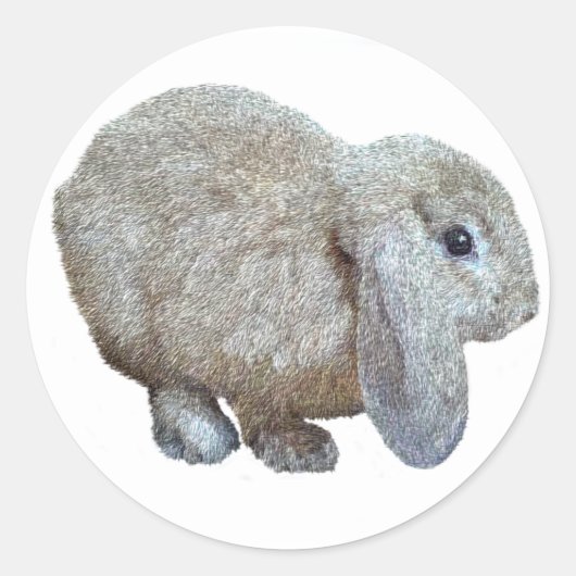 Holland Lop Ear Rabbit Stickers (Voorkant)