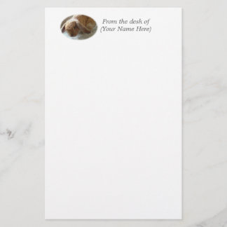 Holland Lop Eared Rabbit Briefpapier