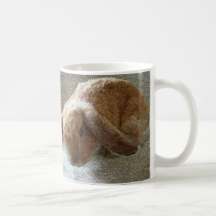 Holland Lop Eared Rabbit Mok