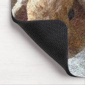 Holland Lop Eared Rabbit Muismat (Hoek)