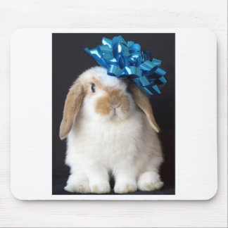 Holland Lop Mousepad Muismat